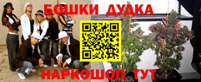 PSILOCYBIN Северобайкальск