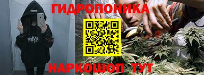 apvp Севастополь