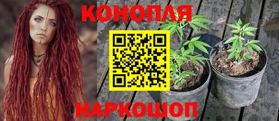 apvp Севастополь