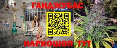 PSILOCYBIN Северобайкальск