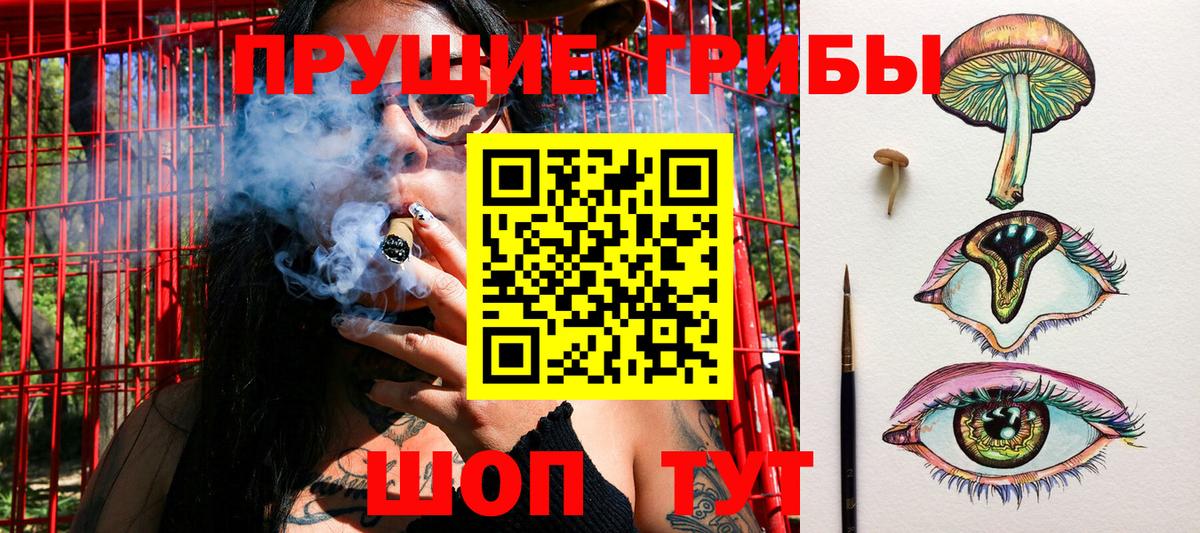Галлюциногенные грибы Magic Shrooms Обнинск