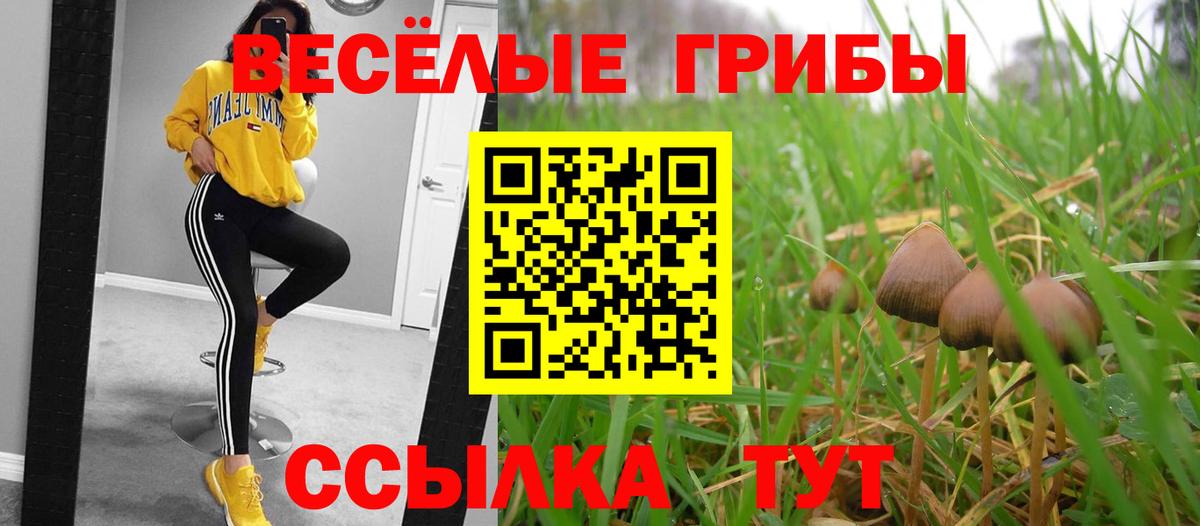 Галлюциногенные грибы мицелий  Вход с VPN  Обнинск  Псилоцибиновые грибы GOLDEN TEACHER 